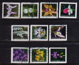 OFF paper #5435-44 Wild Orchids-COIL (used set of 10) Forever 2020 _f282