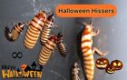 Halloween Hissing Cockroach Starter Colony - 50+ Adults, Juveniles Fast Priority