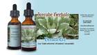 Icecube Herbals Triple Extracted Breathe EEZ 2 oz. TINCTURE