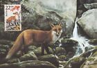 Red Fox Fauna World Wildlife Canada USA Mint Art Missouri Maxi Card FDC 1987