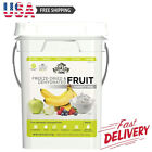 Dehydrated & Freeze-Dried Fruit Variety Pail Emergency Food Supply Camping Food