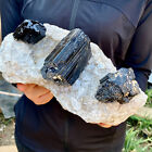6.17LB Large Natural Black Tourmaline Crystal Gemstone Rough Mineral Specimen