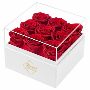 Glamour Boutique Preserved Roses in a Box 9-Piece Flowers Decor in Square Box