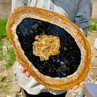 2.99LB Large Natural Petrified Wood Crystal Fossil Slice Shape Specimen Healing