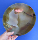 10 inch Polished Cow/Buffalo horn Bowl from India taxidermy # 47749
