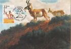 Pronghorn Fauna World Wildlife Canada USA Mint South Dakota Maxi Card FDC 1987
