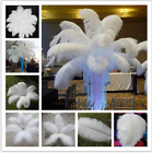 Wholesale 100/200pcs Natural Ostrich Feathers 14-16inch/35-40cm White New
