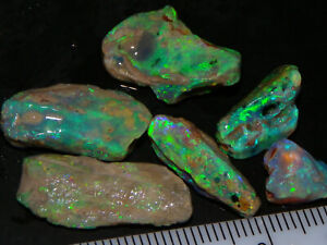 Nice Quality Fossil Opal Rough 33.5cts Lightning Ridge Bright Green Fires NR lot