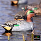 AVERY OUTDOORS GREENHEAD GEAR GHG PRO GRADE GREEN WINGED TEAL DUCK DECOYS