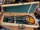 Vintage MD3E Mandolin with Pickup and Handmade Wooden Case _ Made in Korea
