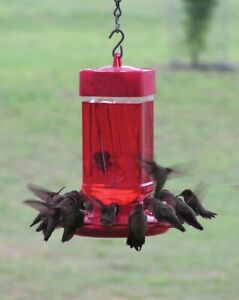 FIRST NATURE HUMMINGBIRD FEEDER 32 OZ WIDE MOUTH #3055 EASY CLEAN  - MADE IN USA