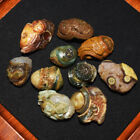100% Natural Mongolia Gobi Agate Eyes Agate/stone Collection Specimen