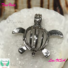 Mikey Turtle - Silver Plated - Locket Pearl Cage Pendant - Hold 6mm - 8mm Pearl
