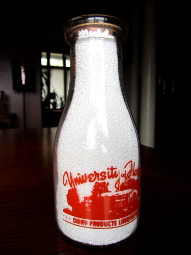 New ListingPINT 1940's UNIVERSITY OF FLORIDA Gainesville FLA. FL. dairy milk bottle COLLEGE