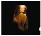 Nothing Safe: The Best of the Box (Slider) by Alice in Chains (CD, Mar-2009, ...