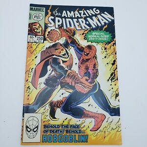 Amazing Spider-Man #250 Marvel 1984 Hobgoblin Vintage