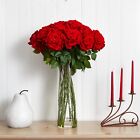 31” Giant Red Roses Artificial Arrangement w/Tall Glass Vase. Retail $387