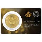 2024 1 oz Canadian Gold Maple Leaf $50 Coin BU (In Assay)