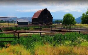 New Listing1.4 acres of  NATURE WILDERNESS MODOC COUNTY
