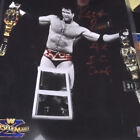 Razor Ramon Signed WWE 11x14 Photo COA Ladder Match Picture Scott Hall Auto WWF
