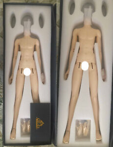 1/3 Doll Family-H 68cm Ver.II 3-Parts Boy Body w/ Jointed Hands (VOLKS Normal)