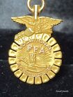Vintage 10K Solid Gold FFA Vocational Agriculture Pin  