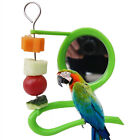 Bird Mirror Bird Funny Mirror Toy Stand Bird Toy For Parrot Parakeet Cage