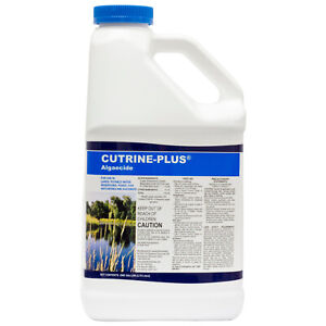 Cutrine Plus ( 1 Gallon ) Applied Bio Chemists NOT FOR SALE TO: CT, ME, NY