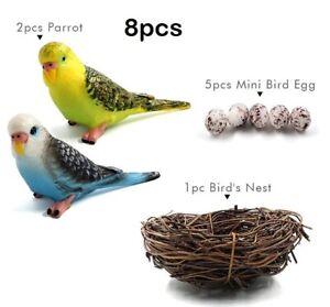 Budgerigar Parrot Bird Nest Egg Set Animal Toy PVC Action Figure Kids Toys Gifts