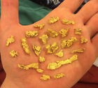 12 oz GOLD PAYDIRT unsearched and added gold panning alaska concentrates