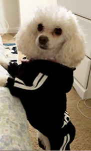4 Leg Pet Dog Clothes Cat Puppy Coat Sports Hoodies Warm Sweater Jacket Clothing
