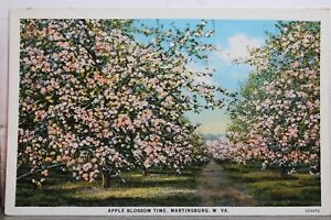 West Virginia WV Martinsburg Apple Blossom Time Postcard Old Vintage Card View