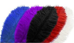 20 pcs Color Ostrich Feathers Plumes 8-10 inch20-25 cm Bulk for Wedding Party...