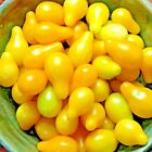 TOMATO YELLOW PEAR CHERRY RARE HEIRLOOM VEGETABLE GARDEN NON-GMO 30+ SEEDS USA