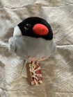 Kotori Tai Bird Java sparrow Plush Doll Amuse