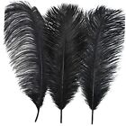 30 Pieces Ostrich Feathers 12-14 Inch (30-35cm) Large Feathers for Vase Black