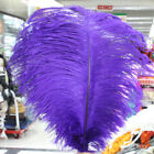 Wholesale 10-100pcs High Quality Natural Ostrich Feathers 6-24inches/15-60cm