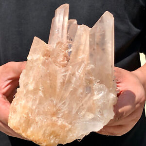 3.56lb Natural Clear quartz crystal cluster Mineral Specimen Collection Healing