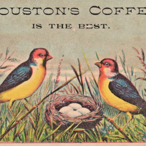 New ListingAntique 1880s Houston's Coffee Is The Best Birds Nest Victorian Trade Card