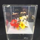 Vintage Acrylic Music Box Butterfly And Flowers Rotates Plays Love Story Song