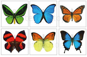 Large Butterfly Temporary Tattoos - 6 Sheets - For Adults and Children