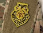 Air Force Institute of Technology AFIT Graduate Patch -- Official