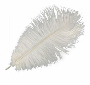 10Pcs Ostrich Feathers Plumes DIY 15-20cm/6-8inch Wedding Home Decoration Crafts