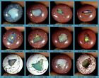 Natural Mexican Fire Opal Loose Gemstone Cabochon