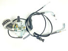 Carburetor With Choke Throttle Cable & Air Filter Yamaha PW80 1983-2006