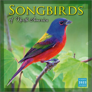 Sellers Publishing Songbirds of North America 2023 Wall Calendar w