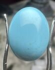 High Grade 8.86ct Large Natural Blue Turquoise Cabochon 17.4mm X 13mm Old Stock