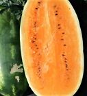 Tendersweet Orange  Watermelon Seeds 25 SEEDS  NON-GMO-BUY 4 ITEMS FREE SHIPPING