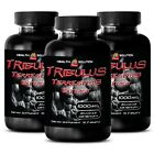 testosterone booster dietary - TRIBULUS TERRESTRIS 1000MG 3 Bottles 270 Tablets