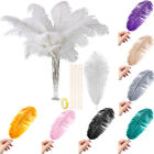 10 Pieces Big Ostrich Feathers Plumes Bulk for Centerpieces Gatsby Wedding Party